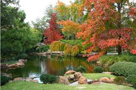 The Fort Worth Botanic Gardens One Of Fort Worth S Treasures Japanese Garden Japanese Water Shrubs For Borders