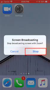 How to enable developer mode on your iphone? Ios Screen Sharing Zoom Help Center
