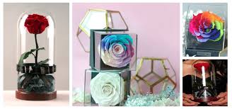 The The 10 Best Options For Preserved Flowers In Singapore Updated 2019