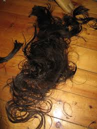 Pin On Cut