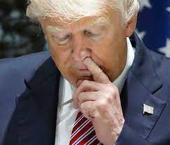 Trump Picking His Nose Donald Trump Know Your Meme