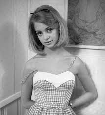Gals In Gingham Goldie Hawn Goldie Hawn Young Actresses