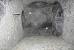 Mold Vs Dust