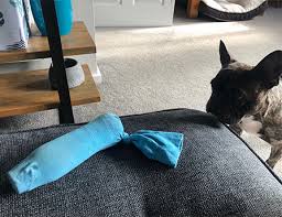 From pupcakes to pretzels, they're all tasty (and healthy) enough to earn a tail wag. Homemade Toys And Puzzles For Dogs