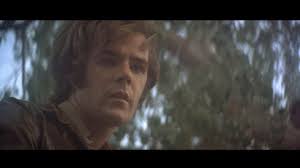 The Todd Killings 1971