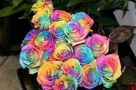 Blog contest disney s treasure buddies kinderbuzz. Changing Color Of Buds Rollitup