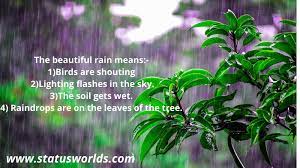 Check spelling or type a new query. Best 111 Rain Status Quotes 2021 For Rain Lover People Status World
