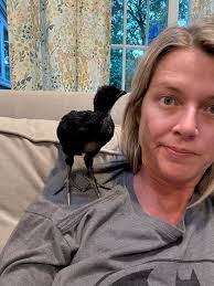 Im guessing this is a rooster 🐓