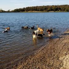 You don't need to bring a single thing along, other at our chirnside park store, our diy dog wash is located inside the store, so you and your dog will need to visit us during store hours. 15 Essential Items To Make A Diy Dog First Aid Kit Boston Terrier Society