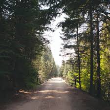 Newark international airport, 1 hotel road, newark, nj. Everything You Need To Know About The Route Of The Hiawatha Mountain Bike Trail