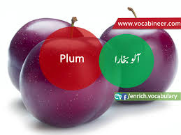 Fruits Name In Urdu Hindi And English With Pictures In 2020 Learn English Words English Vocabulary Learn English