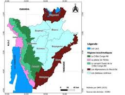 Image result for Agelanthus keilii