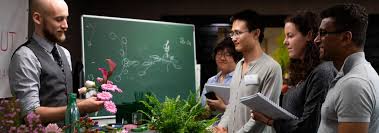 Maybe you would like to learn more about one of these? From Nursery Garden In Limburg To Flower Arranging Visit Aalsmeer