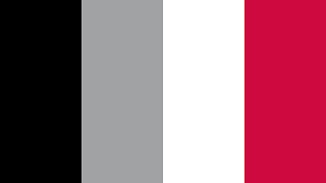 Raptors logo stock photos and images. Toronto Raptors Logo Color Scheme Black Schemecolor Com