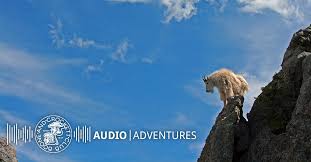 Goat-Hunting Bug – A B&C Audio Adventure | Boone and Crockett Club