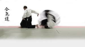 Aikido finance is the leading resource for long term investment strategies. Aikido Kampfkunst