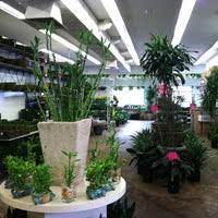 From the view of preventing the spread of the new coronavirus infection, visitors are not allowed to enter all tokyo metropolitan central wholesale markets including toyosu market for the time being. Metropolitan Wholesale Cityside Flowers Flower Shop In Saddle Brook