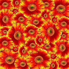 A healing flower bouquet treats us better than some of the medicines, as well, so here are the few delicate beauties and their medicinal benefits that one should know. Meaning Of Flowers 45 Flower Meanings Pictures Flower Glossary