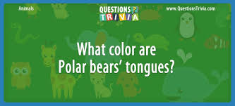 There was something about the clampetts that millions of viewers just couldn't resist watching. Animal Trivia Questions And Quizzes Questionstrivia
