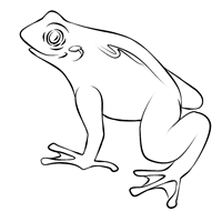 Coloring pages online for kids and family. Free Frog Coloring Pages To Print Out And Color
