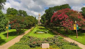 A ban on various forms of sexual conduct was in place until 2015 , however. Baylor University Course Listings