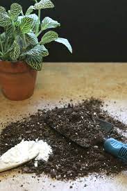 Baking soda is everywhere in oral hygiene products and baked foods. Baking Soda For Plants 20 Clever Uses For Baking Soda In The Garden