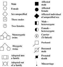 Genealogical Method Wikilectures