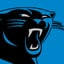 Carolina Panthers