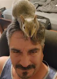 Introduction of Opal and her love for squirrels