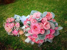 Confíenos su envio de flores a zamora y no se arrepentirá! Bodega De Flores Invernadero San Diego Zamora Home Facebook