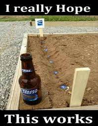 Are you funny when you're drunk? 100 Best Beer Puns And National Beer Day Memes Yourtango