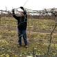 Think Green Thursday: Grapevine Pruning Workshop event in Mebane, NC