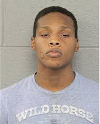 ᐅ Illinois Criminal Records 2009-2025