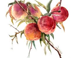 Pin On Watercolor Flowers