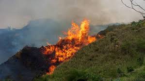 We did not find results for: Declaran Alerta Por Incendios Forestales En Colombia Noticias Telesur