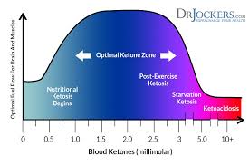 What Are Ketones And Are They Healthy Drjockers Com Ketones Ketogenic Low Carbohydrate Diet