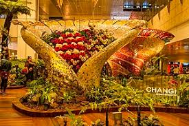 We did not find results for: Singapore Changi Airport Travel Guide At Wikivoyage