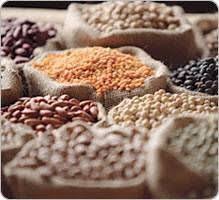 Les Legumineuses Mode D Emploi Legumineuse Cuisson Haricots Rouges Cuisson Lentilles