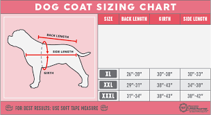 large dog sizing chart spectra therapy