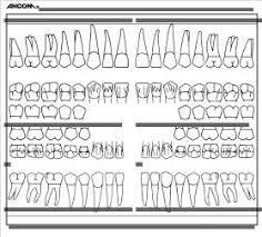 Dental Chart Forms Sada Margarethaydon Com