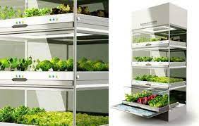 Hydroponic Indoor Gardens Indoor Vegetable Gardening Home Hydroponics Indoor Vegetables