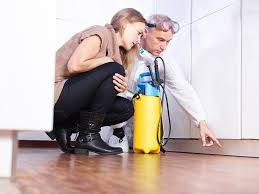 Baxter pest control are pest, mice and bed bug control exterminators. Kansas City Pest Control Blog Milberger Pest Control