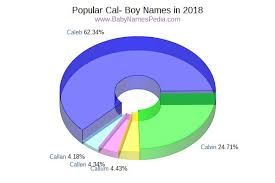 Looking for the perfect name for your little one? View Boy Names Starting With Cal At Baby Names Pedia With Concise Name Meanings Origins Pronunciation And Charts