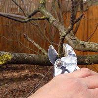 посадка цветов на рассаду в марте по лунному календарю Lunnyj Kalendar Na Mart 2020 Glavnye Raboty V Ogorode Sadu I V Cvetnike V Marte V 2020 G Vyrashivanie Ovoshej Sadovye Idei Kalendar