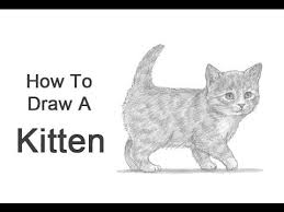 Anyone can create great looking drawings! How To Draw A Kitten Youtube