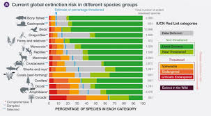 Can we bring them back? Un Report 1 Million Animal And Plant Species At Risk Of Extinction