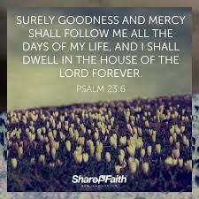 The reference in zechariah is a jewish parallelism referring only to a single animal, and the gospels of mark. Top 50 Bible Verses For Mother S Day Bonus Sharefaith Magazine