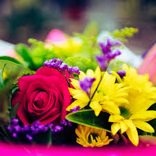 We did not find results for: Flowers On Sorrento In Sorrento 4217 Qld 23 Photos 8 Reviews Localsearch