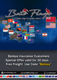 We represent a wide range of insurance plans and types, catering to the individual needs of our clients. Baileys Insurance Customers Special Bato Flags