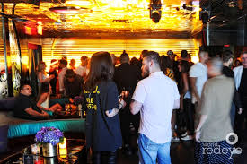 Image result for Ozoroa kassneri